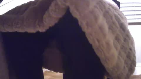 grower2153 online show from November 2025 12:05:02 PM