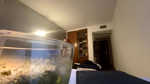 guardiannif_ online show from January 2025 09:11:02 PM