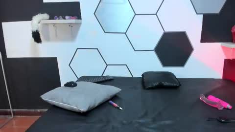 haileycat_ online show from December 2024 04:52:01 AM