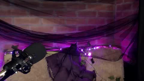 Snapshot of hannah_valhalla chatting on December 2025 02:05:02 AM Hannah online show from December 2025 02:05:02 AM