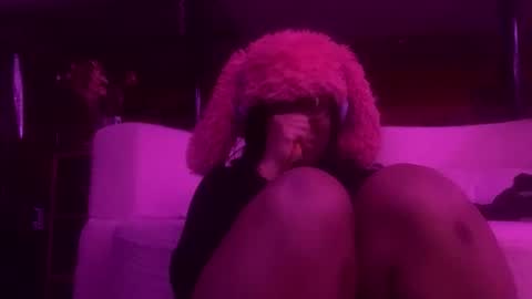 hiimz3 online show from December 2025 02:06:01 AM