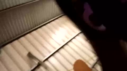 horny24_7_69licker online show from September 2025 11:56:02 AM