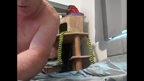 Snapshot of hornyman6942842 chatting on December 2025 08:04:02 PM hornyman6942842 online show from December 2025 08:04:02 PM