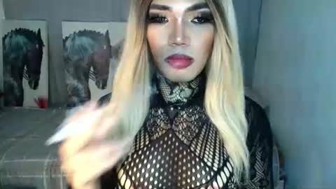 HORSECOCKterra online show from September 2025 11:59:01 PM