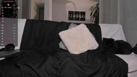 Andrew xdres08 online show from March 2025 06:58:01 AM