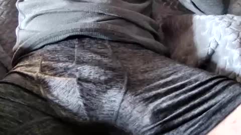 hugepecker131 online show from December 2025 01:17:02 PM