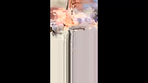 indegeniouscreature online show from December 2025 11:50:01 AM