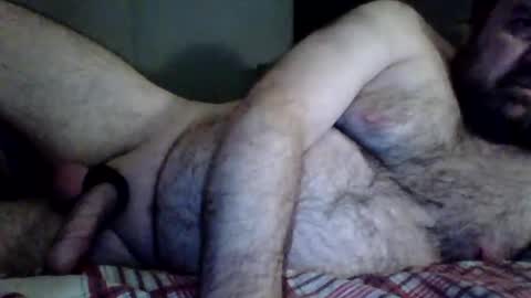 Check my wishlist below. online show from December 2024 08:32:01 PM