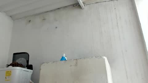 Snapshot of jadesmiith1 chatting on October 2025 05:53:01 PM Jade Smith online show from October 2025 05:53:01 PM