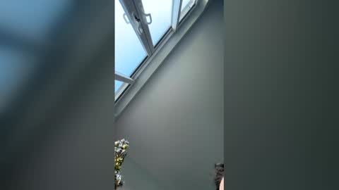 Snapshot of jay40451 chatting on December 2025 10:00:02 AM jay40451 online show from December 2025 10:00:02 AM