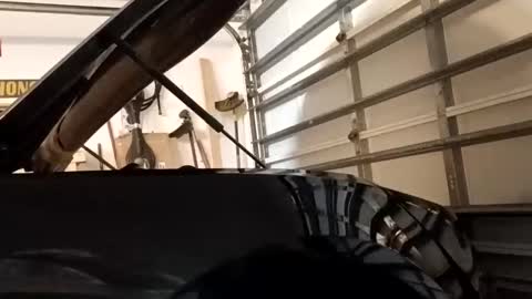 Snapshot of jcmack4life chatting on September 2025 07:31:01 AM jcmack4life online show from September 2025 07:31:01 AM