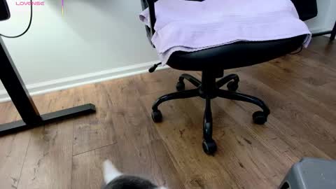 Snapshot of jjjust4fun1985 chatting on December 2025 09:02:01 PM Nicole Allen online show from December 2025 09:02:01 PM