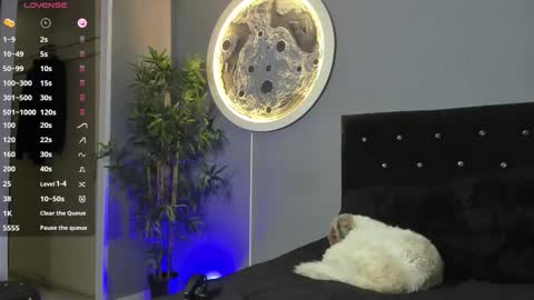 Snapshot of jordan_mayers chatting on December 2025 10:02:01 AM Jordan online show from December 2025 10:02:01 AM