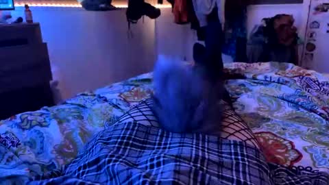 Snapshot of jrod11229 chatting on October 2025 02:15:01 AM jrod11229 online show from October 2025 02:15:01 AM