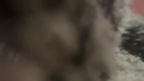 Snapshot of kg1726860 chatting on October 2025 06:50:02 PM kg1726860 online show from October 2025 06:50:02 PM