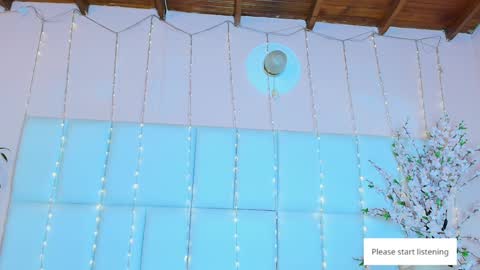    N         M online show from February 2025 11:42:01 AM