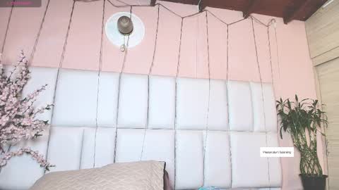    N         M online show from February 2025 11:36:01 AM