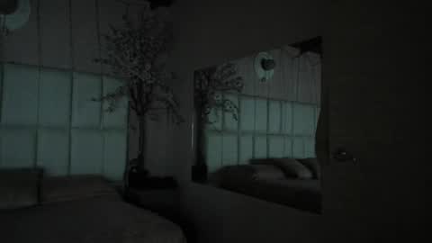    N         M online show from September 2025 11:37:02 AM