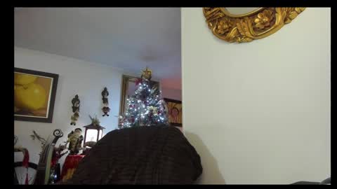 kyhara online show from December 2024 01:51:02 AM