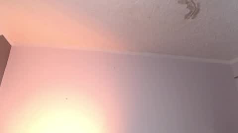 Snapshot of leabigboobs chatting on February 2025 03:49:01 PM leabigboobs online show from February 2025 03:49:01 PM