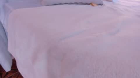Liss 3 online show from December 2024 01:42:02 PM