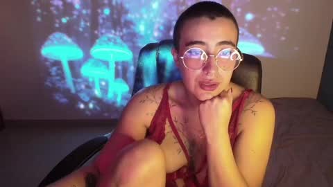 im MIA  -- MY OF is catsito3 online show from February 2025 09:34:02 AM