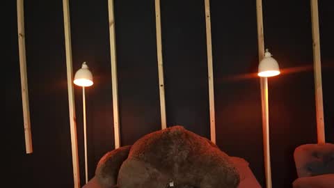 lilith_hart_ online show from February 2025 03:58:02 AM