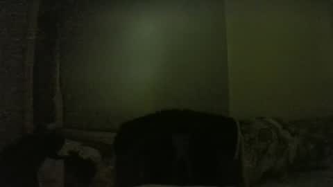 Snapshot of lily_lovelyman_ chatting on February 2025 06:08:02 PM lily lovelyman online show from February 2025 06:08:02 PM