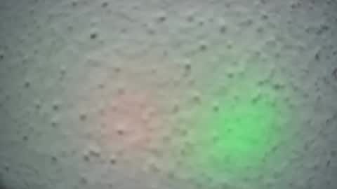 Snapshot of lily_lovelyman_ chatting on February 2025 06:52:02 AM lily lovelyman online show from February 2025 06:52:02 AM