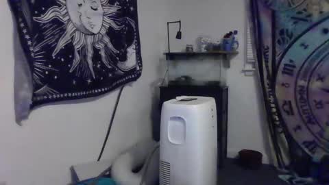 Bigtitsgirl113 online show from December 2024 03:37:02 AM