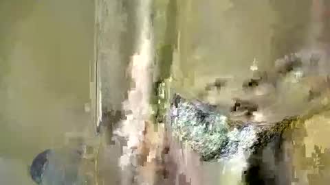 Baby online show from December 2025 06:38:01 PM