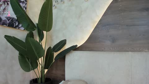 mia_lacy online show from December 2024 10:31:01 PM