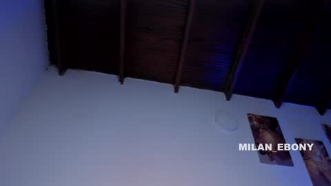 Milan  online show from January 2025 02:35:02 PM