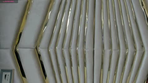 Veronica summer  7AM to 1500 PM hour GMT-5 online show from December 2024 11:36:01 AM