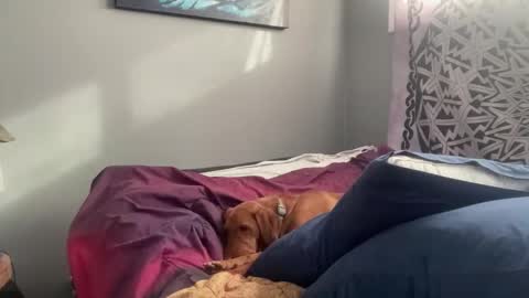 MNTuiLa online show from February 2025 03:31:02 PM