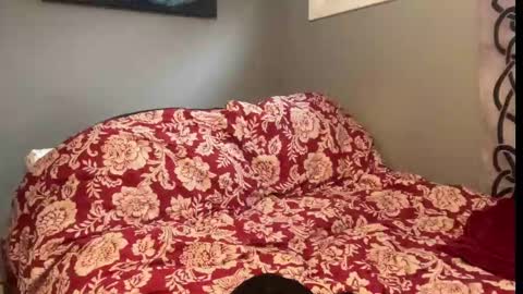 MNTuiLa online show from September 2025 12:59:02 PM