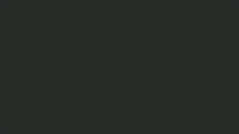 moth12 online show from December 2024 02:38:02 PM