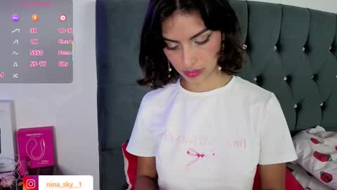 Snapshot of ninasky19 chatting on November 2025 12:31:02 AM ninasky19 online show from November 2025 12:31:02 AM