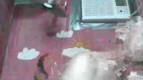 Snapshot of oldbuthorny62 chatting on November 2025 06:57:01 AM oldbuthorny62 online show from November 2025 06:57:01 AM