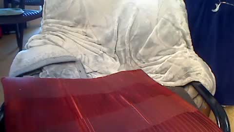 pajacamxxxs online show from March 2025 11:27:01 AM