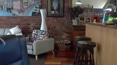 patvac online show from November 2025 01:50:02 AM