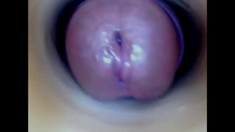 Snapshot of paulainoscente chatting on October 2025 11:38:02 PM Paula 18 Aninhos online show from October 2025 11:38:02 PM