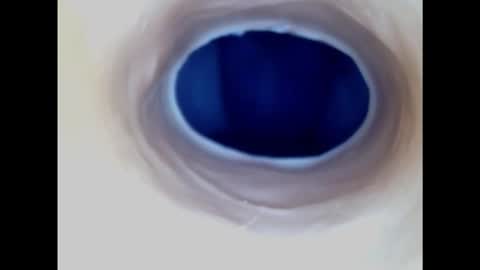 Snapshot of paulainoscente chatting on November 2025 05:24:01 AM Paula 18 Aninhos online show from November 2025 05:24:01 AM