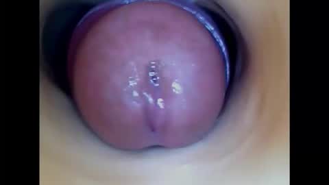 Snapshot of paulainoscente chatting on November 2025 05:34:01 AM Paula 18 Aninhos online show from November 2025 05:34:01 AM