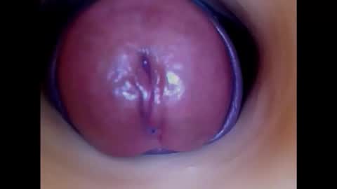 Snapshot of paulainoscente chatting on November 2025 07:30:02 AM Paula 18 Aninhos online show from November 2025 07:30:02 AM