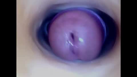 Snapshot of paulainoscente chatting on November 2025 11:37:01 PM Paula 18 Aninhos online show from November 2025 11:37:01 PM