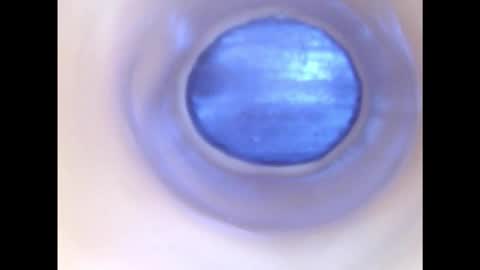 Snapshot of paulainoscente chatting on December 2025 02:28:01 AM Paula 18 Aninhos online show from December 2025 02:28:01 AM