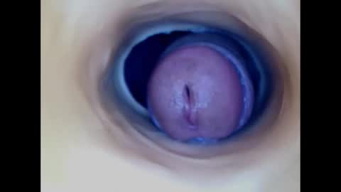 Snapshot of paulainoscente chatting on December 2025 08:13:02 PM Paula 18 Aninhos online show from December 2025 08:13:02 PM