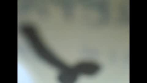 penetrillo online show from September 2025 11:24:01 AM