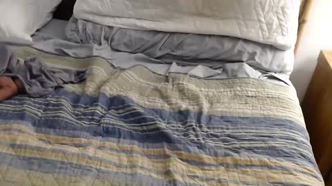 perdidobch online show from December 2024 01:44:01 PM